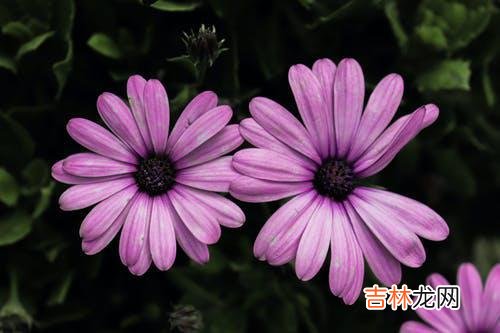 1一个怎样的人 一个人拥有掌握爱的能力，他才会更容易收获想要的感情