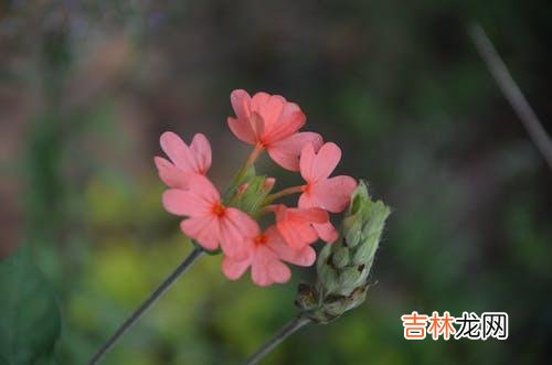 1一个怎样的人 一个人拥有掌握爱的能力，他才会更容易收获想要的感情