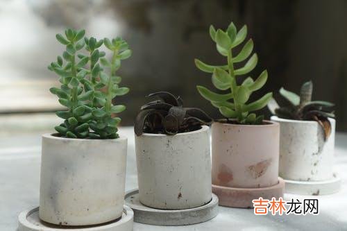 1一个怎样的人 一个人拥有掌握爱的能力，他才会更容易收获想要的感情