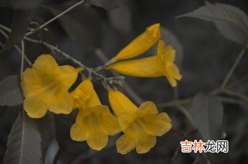 1一个怎样的人 一个人拥有掌握爱的能力，他才会更容易收获想要的感情
