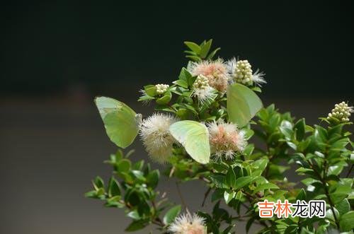 1一个怎样的人 一个人拥有掌握爱的能力，他才会更容易收获想要的感情