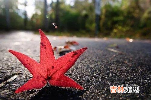 01一个人最大的幸福是什么？我想应该不是有多少钱 结婚十几年，为婚姻为生活付出了很多，却得不到丈夫的心