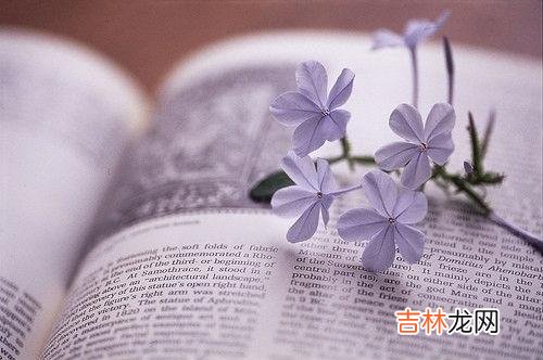 01一个人最大的幸福是什么?我想应该不是有多少钱 结婚十几年,为婚姻为生活付出了很多,却得不到丈夫的心