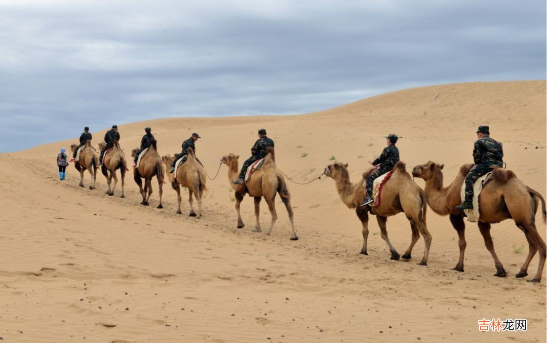 骆驼象征什么精神  骆驼精神介绍