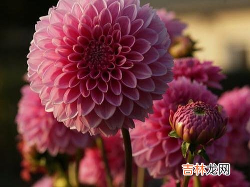 爱情难寻 爱，尤其是真正的爱，不会因为一些不完美而失去