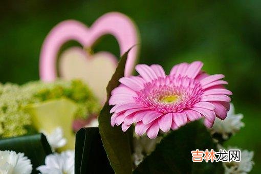 月有阴晴圆缺 人性，是善变的，是不可信靠的，是不断变化的