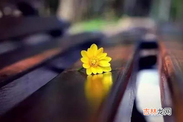 月有阴晴圆缺 人性，是善变的，是不可信靠的，是不断变化的