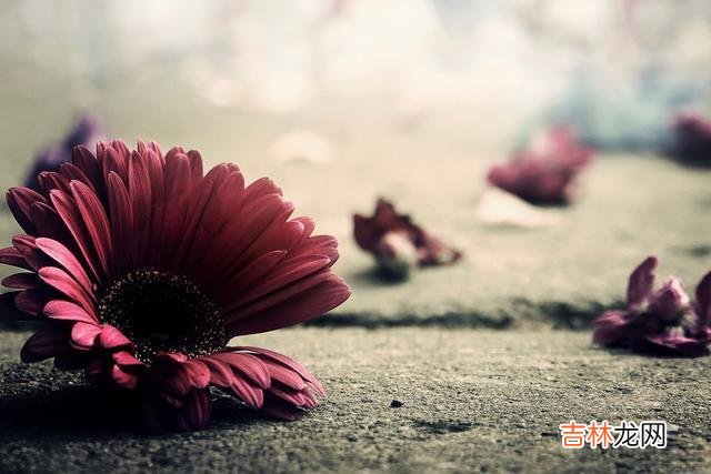 月有阴晴圆缺 人性,是善变的,是不可信靠的,是不断变化的