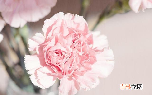 美国人际关系学大师戴尔·卡耐基曾经说过：“一个人的成功 高情商的女人，从来不会说这三句话