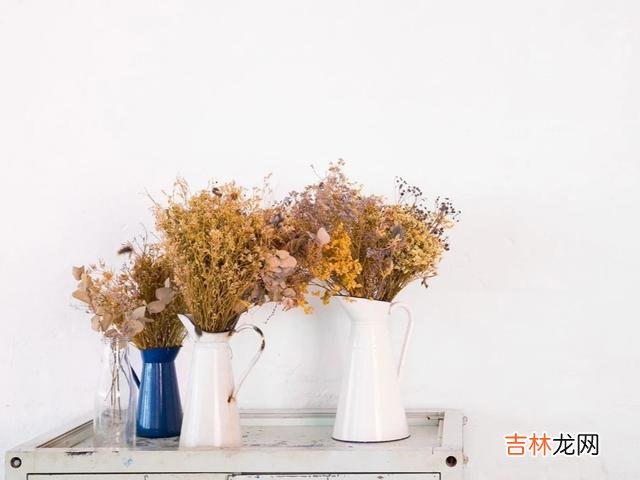 凡是涉及到爱情的事物 真正爱你的人，一定会在以下三件事上迁就你