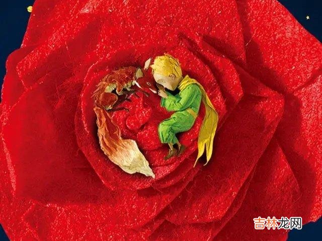 每个人心中 爱情，是一个互相驯服的过程