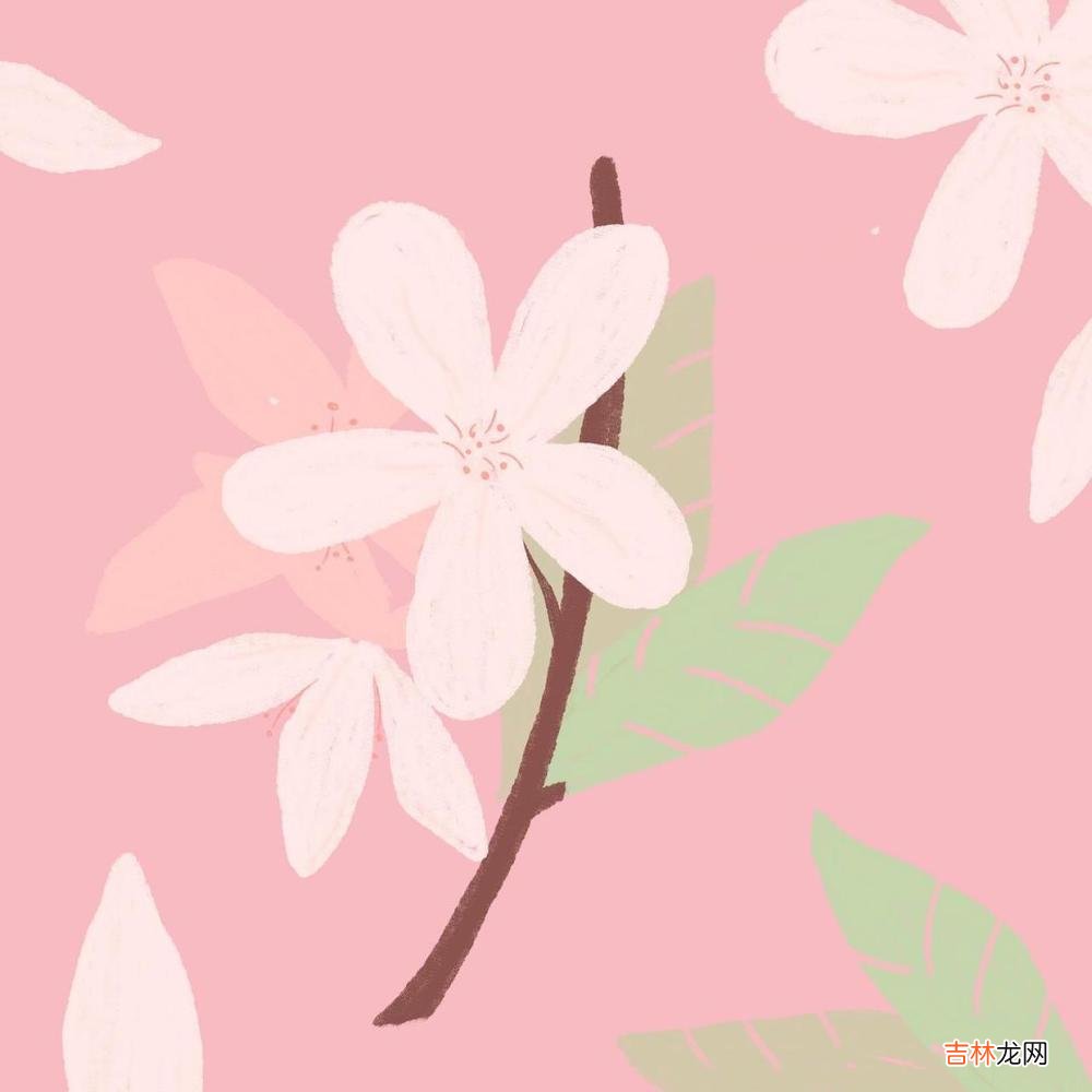 愿意为你付出“稀缺资源”的男生，爱你爱到骨子里