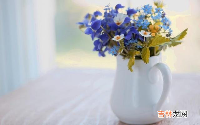 什么样的女人最有气质？通常我们认为 干净的女人最有气质的女人，往往是内外兼修