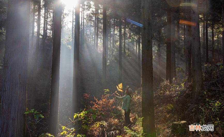 河南商城：冬日黄柏山 秀美如画卷