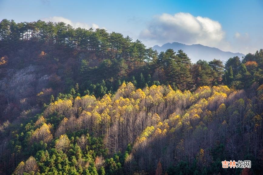 河南商城：冬日黄柏山 秀美如画卷