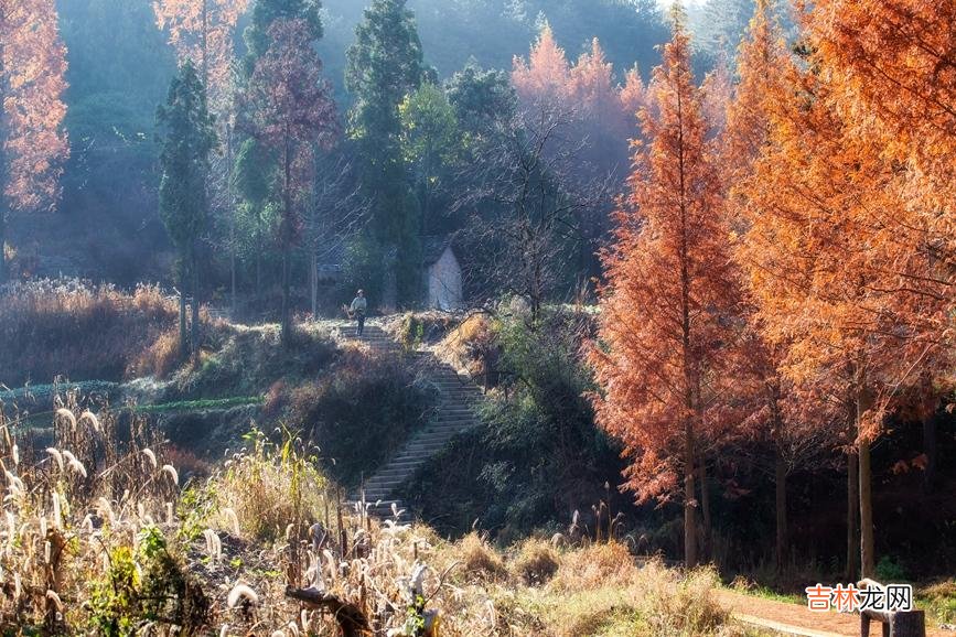 河南商城：冬日黄柏山 秀美如画卷