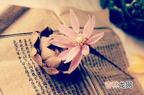1一个人对另外一个人的好感 女人背叛之后，想再赢得丈夫如之前一般的宠爱，会很难
