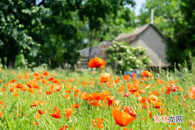 人生的道路 一个能够厚积薄发的人，会有以下特点，希望你都有！