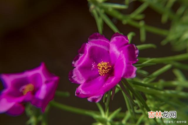 为人处世 做人有底线，做事有担当，才能更好地为自己和家人谋求幸福