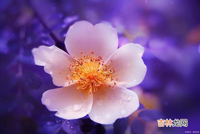 在这个世界上 帮助别人，是一件值得称赞的事