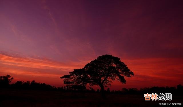 “一个家庭的兴旺 在日常生活中，只要我们做到以下三点，便能不富也旺