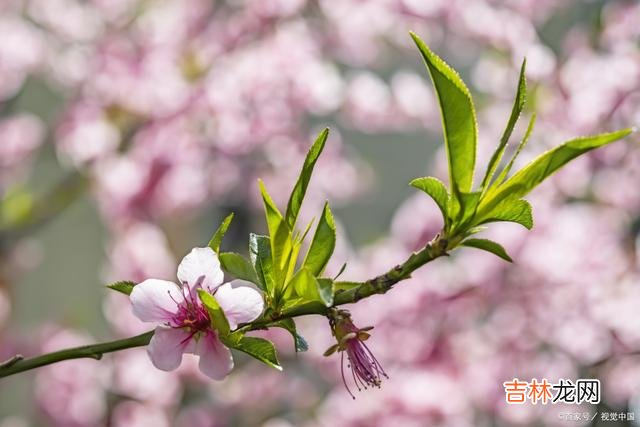 01序言很多情侣都希望自己的感情能更甜蜜 情侣之间，经常说这几句话，会让对方更加有安全感！