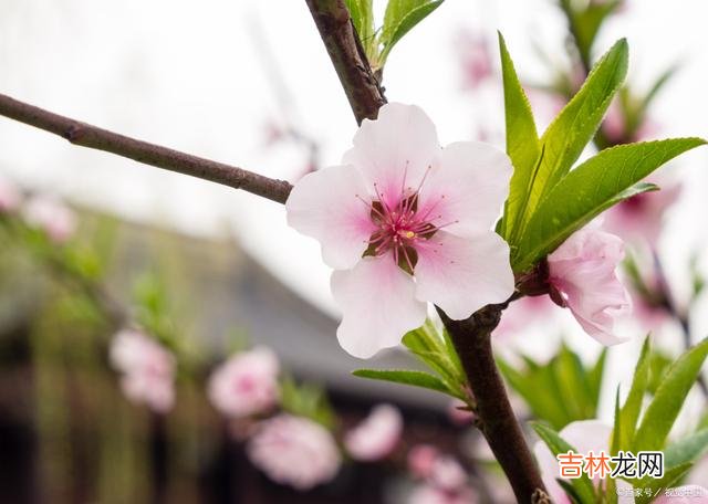 01序言很多情侣都希望自己的感情能更甜蜜 情侣之间，经常说这几句话，会让对方更加有安全感！