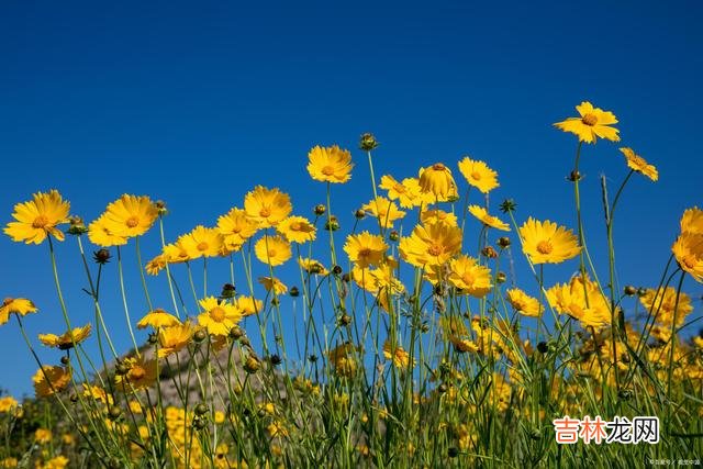 对你接受度越高的男人，爱你越深，女人要知道