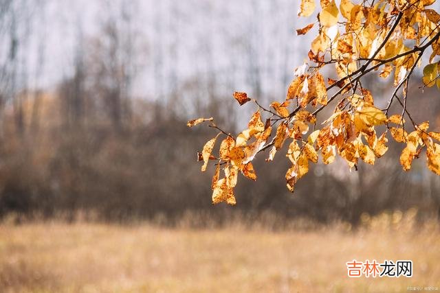 01序言人生是一条很长的路 人生最重要的，不是失去了什么，而是拥有了这些东西