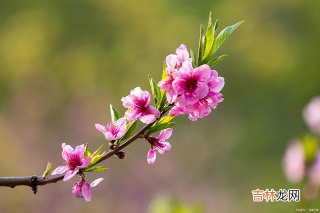 我们常常在电视剧里 为什么丈夫去世后，女人多半不再找新对象，原因很现实