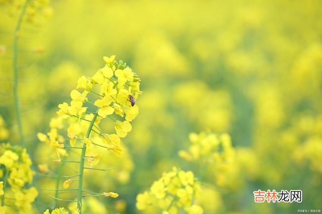 婚姻中，男人突然对你这么好，原来是为了和你离婚