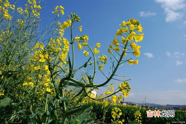 婚姻中，男人突然对你这么好，原来是为了和你离婚