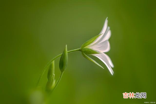 人活在这个世上 人活在这个世上，说话得体的人值得相处