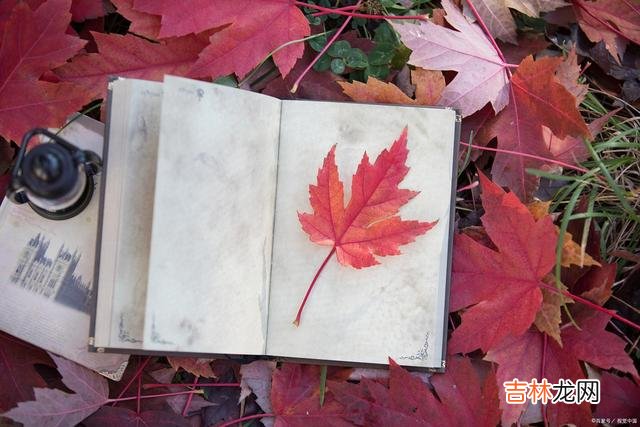 在感情中，男人从心里有你到心里没你，这样的男人就是不爱你了