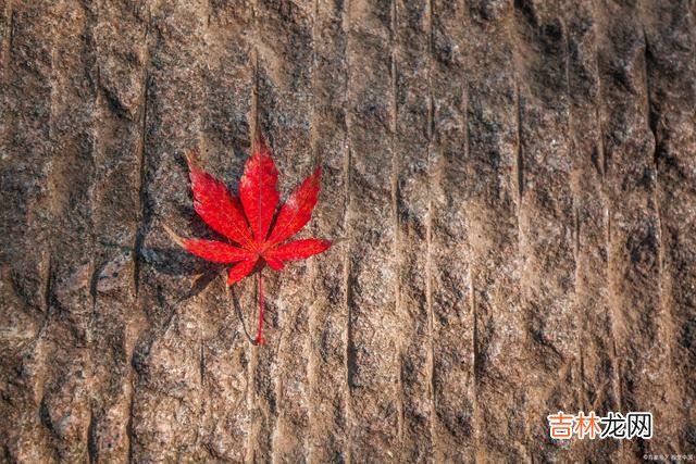 在感情中，男人从心里有你到心里没你，这样的男人就是不爱你了