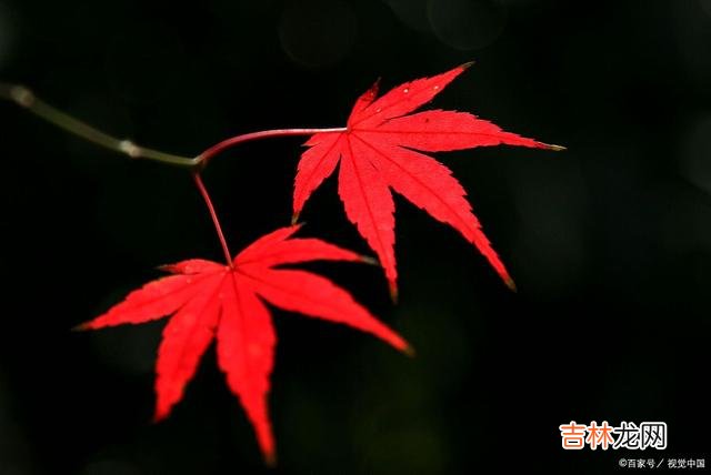 在感情中，男人从心里有你到心里没你，这样的男人就是不爱你了