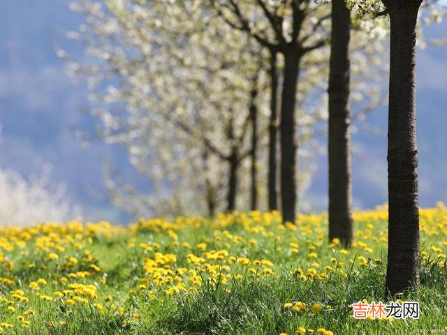 01序言人生路上 人到中年，只有放下过去，才能拥有更好的未来