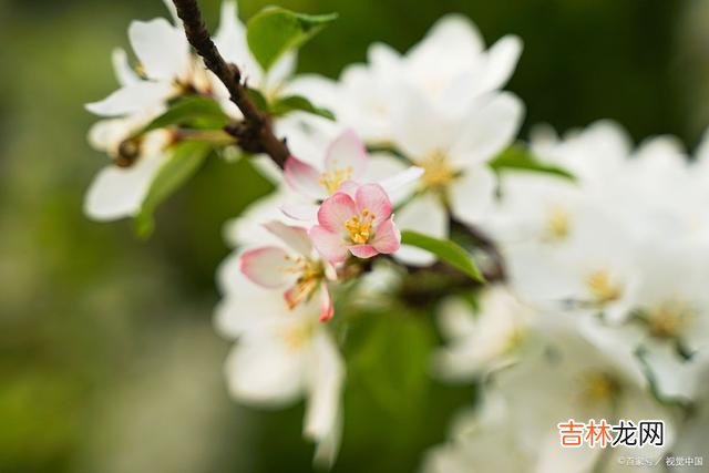 每个人的一生 如果你觉得生活太苦了，不要抱怨，多去看看凌晨4点的菜市场吧