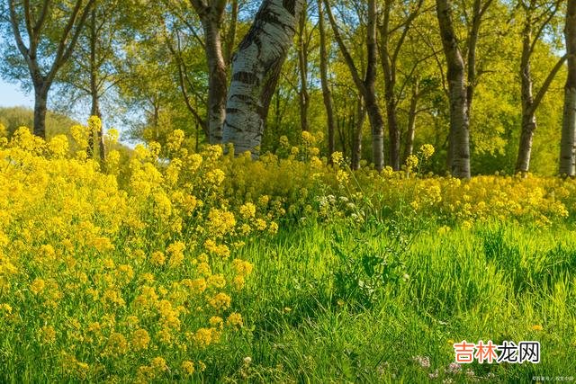 01序言生活就是一个的不如意 只有看淡得失，坦然面对一切，才能活得潇洒