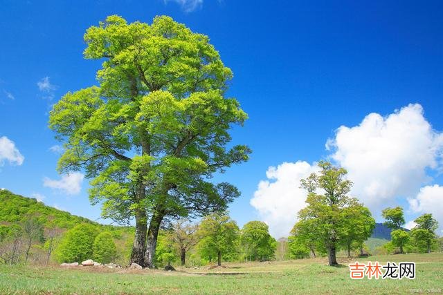 俗话说：“一个人的心态 心宽则无事，知足常乐才是最大的快乐！