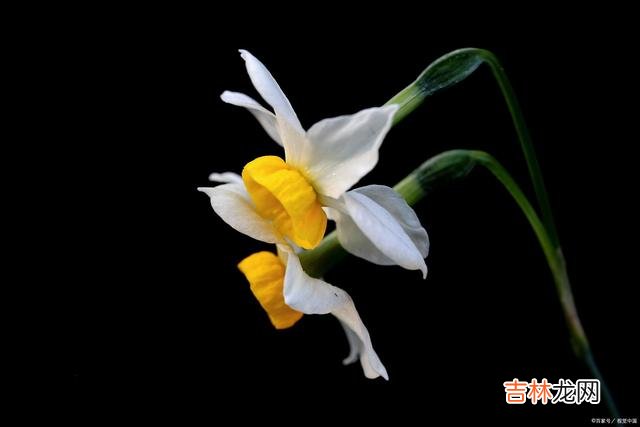 这个世上，没有错的婚姻，只有错的人