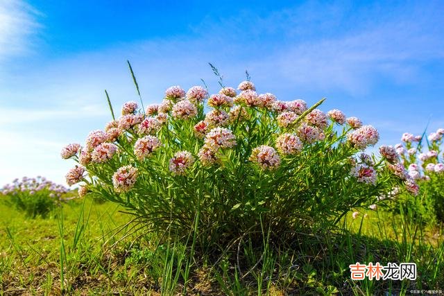 择一城终老 女人这一生，最应该明白的一个道理，就是好好爱自己