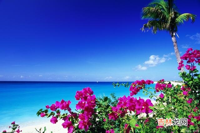 择一城终老 女人这一生，最应该明白的一个道理，就是好好爱自己