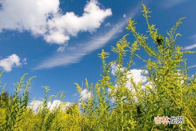 择一城终老 女人这一生，最应该明白的一个道理，就是好好爱自己