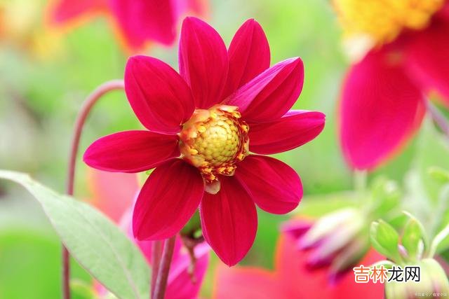 01序言生活是自己的 人到中年，别到处宣扬自己的“烦心事”，尤其是这4件事