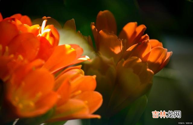 结婚以后 有人说，婆媳处得好不好，关键看男人的表现