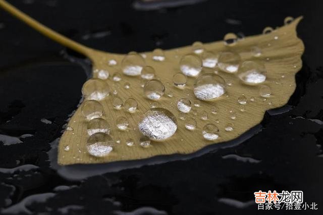 失败了真的不可怕，可怕的是因为害怕失败而从来不敢开始