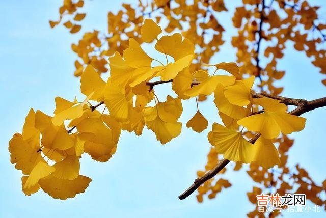 失败了真的不可怕，可怕的是因为害怕失败而从来不敢开始