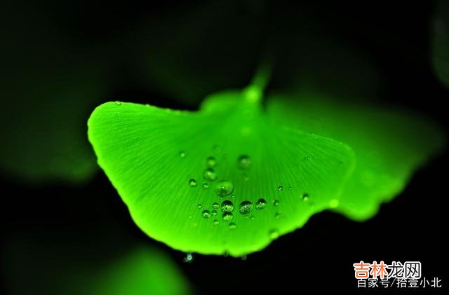 失败了真的不可怕，可怕的是因为害怕失败而从来不敢开始