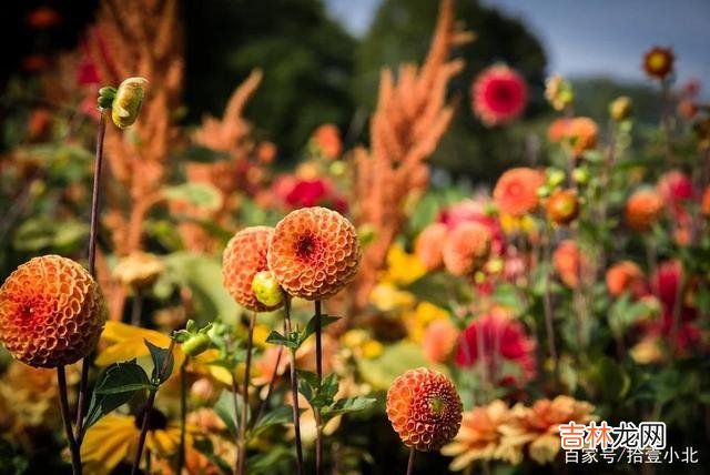 失败了真的不可怕，可怕的是因为害怕失败而从来不敢开始